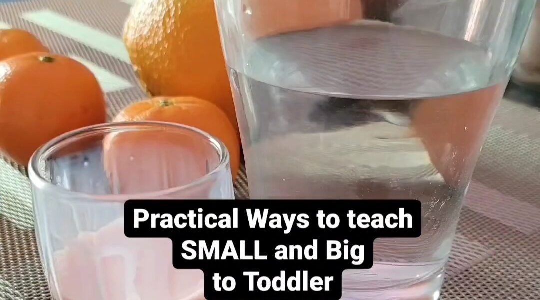 Teach Big and Small concept to toddlers using everyday objects.