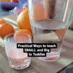 Teach Big and Small concept to toddlers using everyday objects.