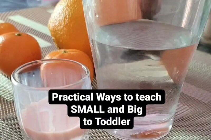 Teach Big and Small concept to toddlers using everyday objects.