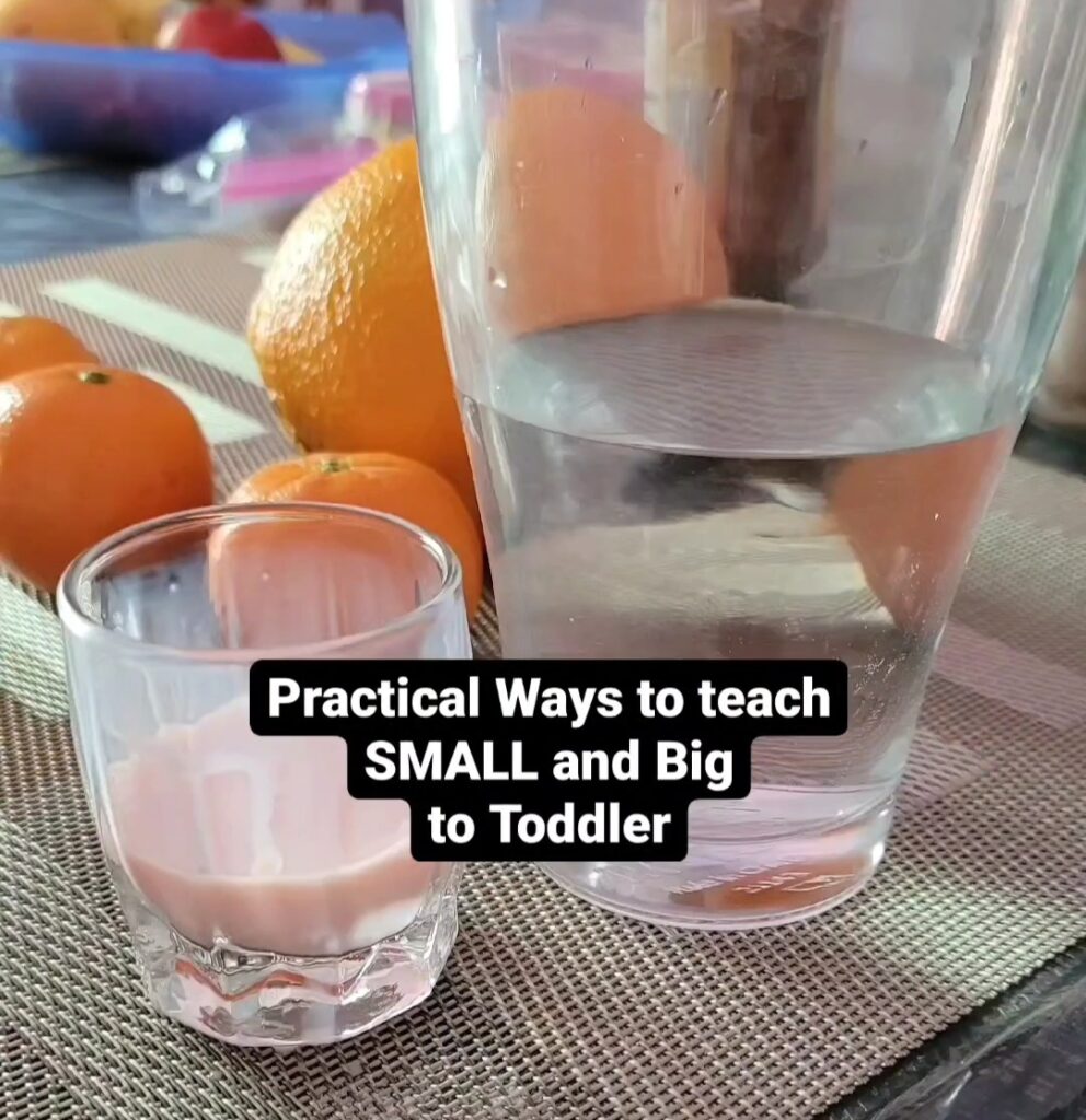 Teach Big and Small concept to toddlers using everyday objects.